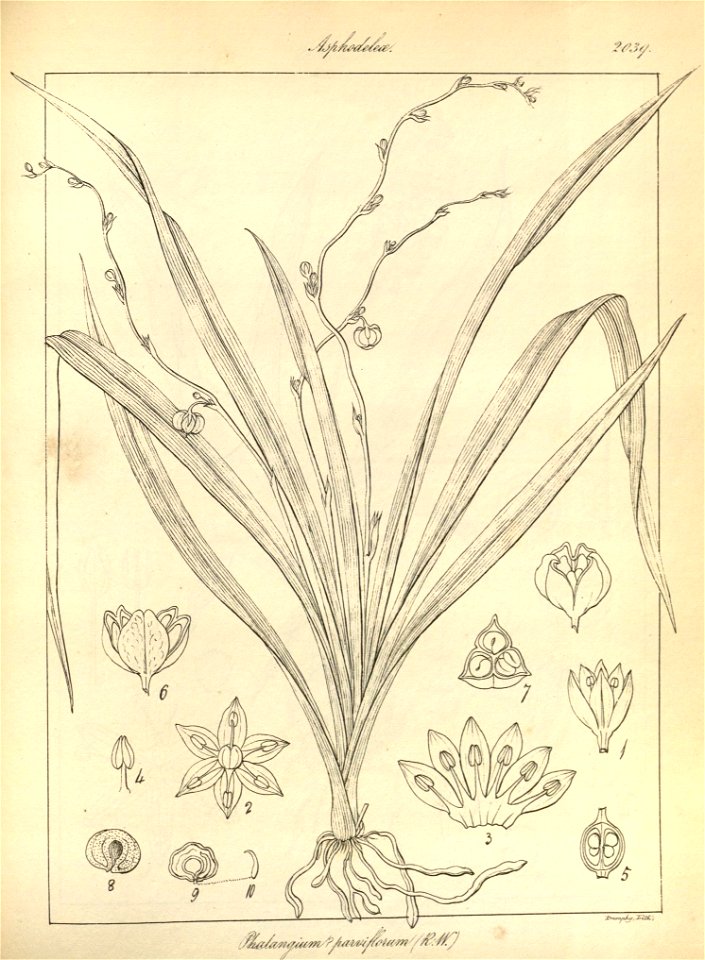 n168_w1150