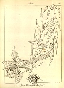 n164_w1150