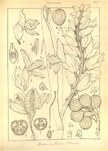 n158_w1150
