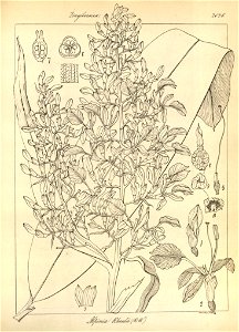 n157_w1150
