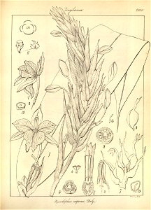 n161_w1150