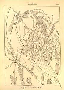 n146_w1150