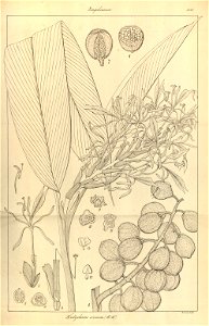 n145_w1150