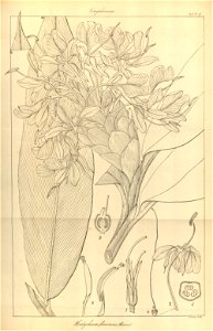 n143_w1150