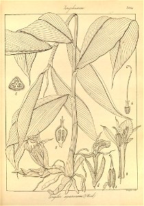 n139_w1150
