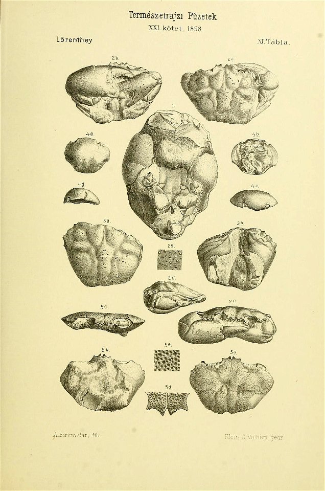 n302_w1150