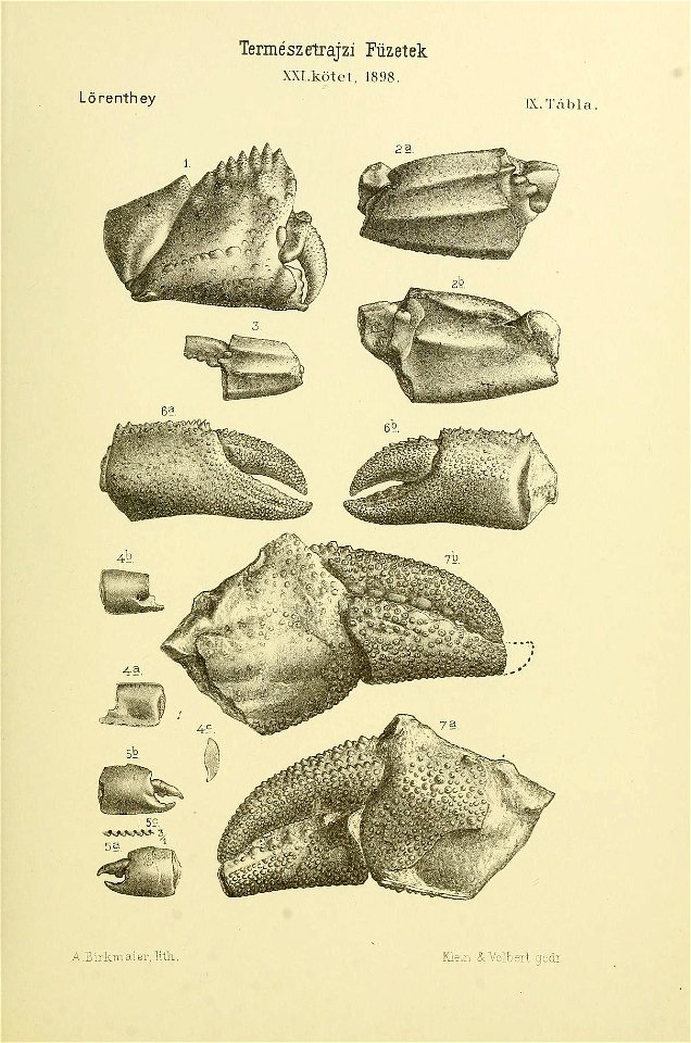 n298_w1150