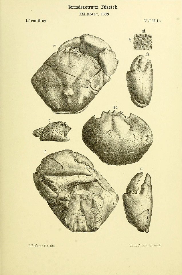n292_w1150