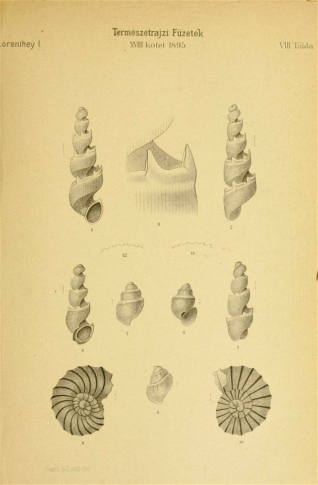n354_w1150
