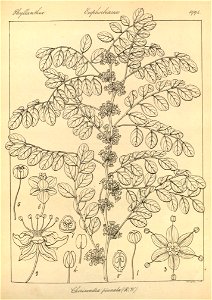 n129_w1150