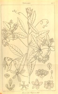 n123_w1150