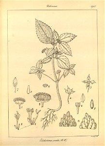 n121_w1150