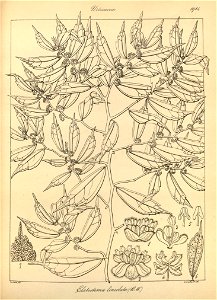 n120_w1150