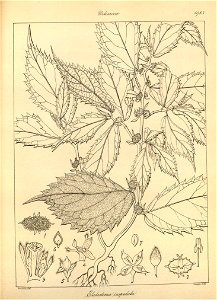 n119_w1150