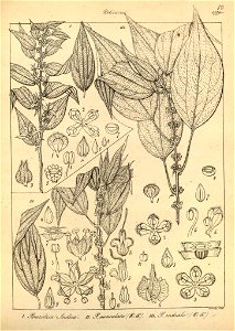 n116_w1150
