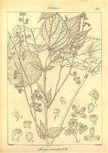 n110_w1150