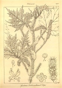 n111_w1150
