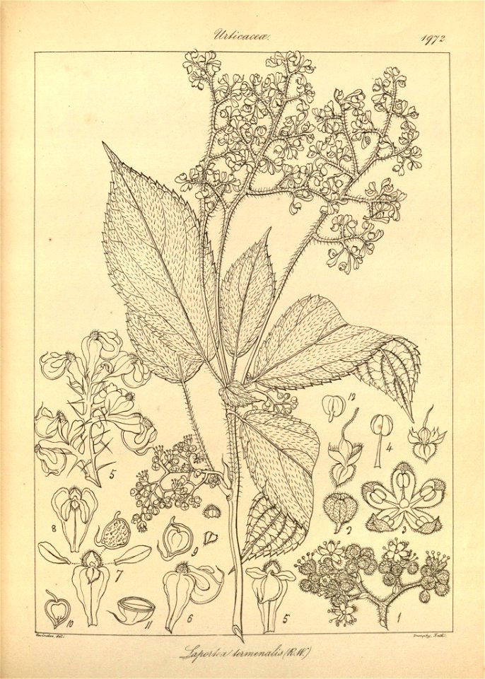 n107_w1150