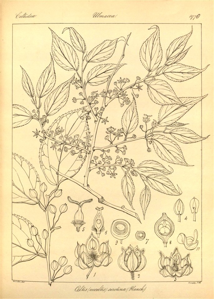n105_w1150