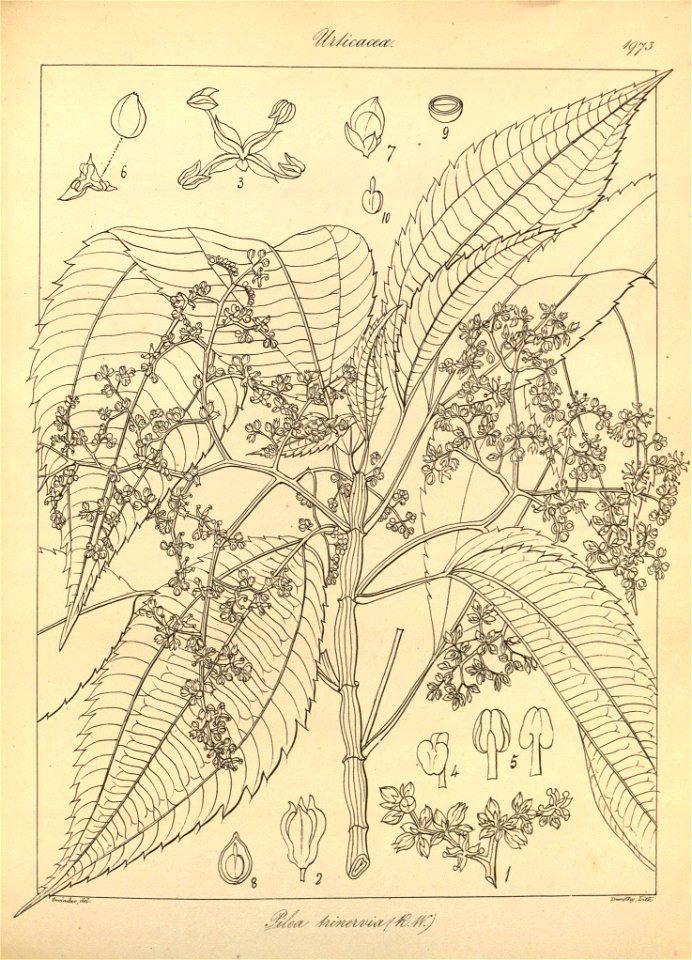 n108_w1150