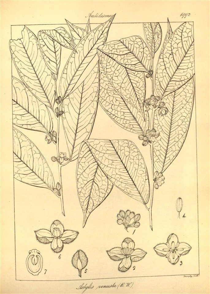 n127_w1150