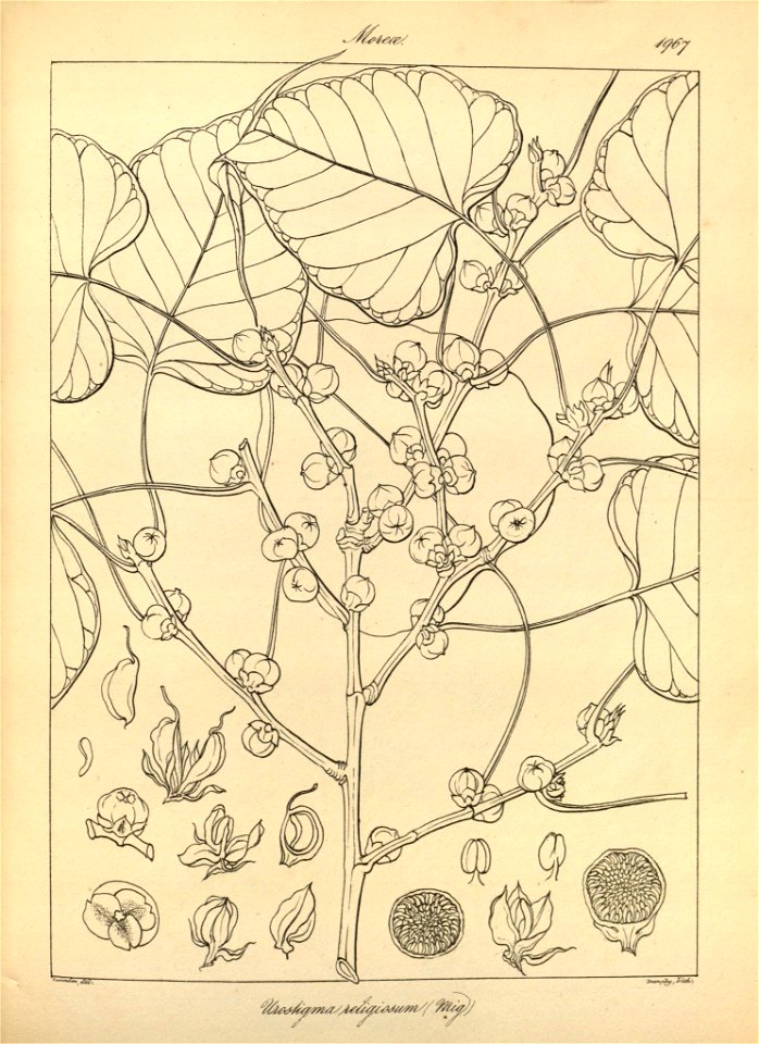 n102_w1150