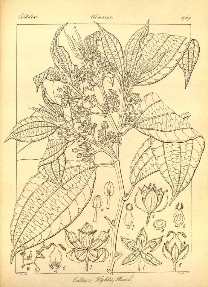 n104_w1150