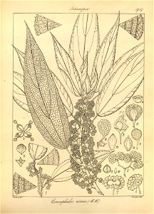 n94_w1150
