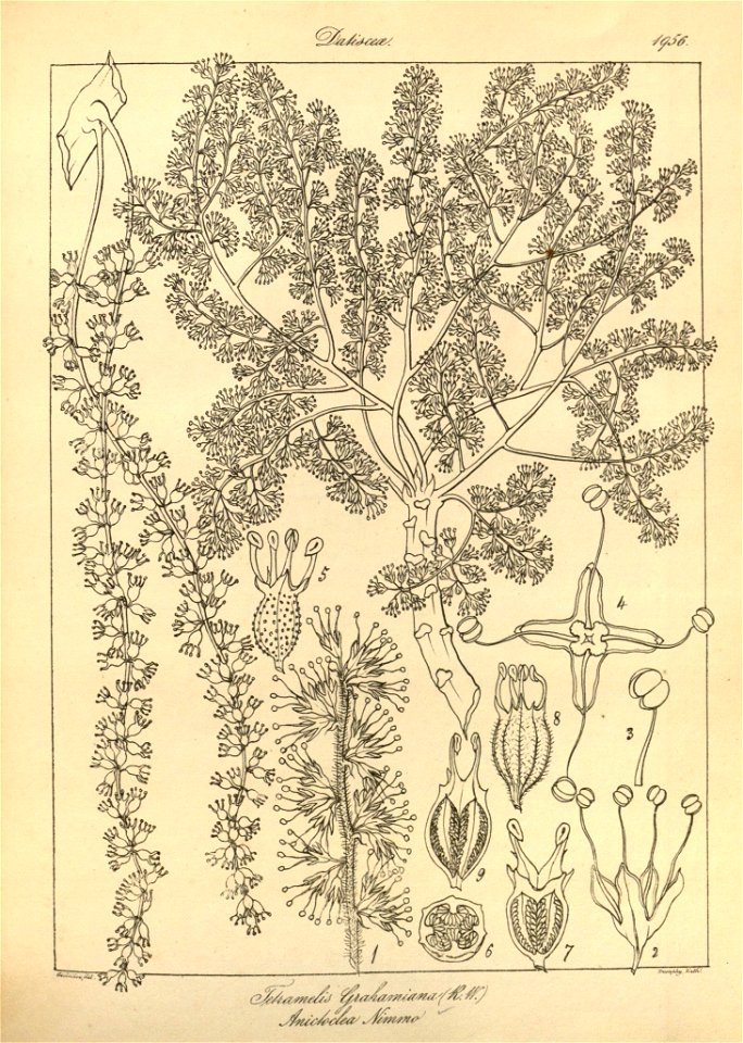 n91_w1150