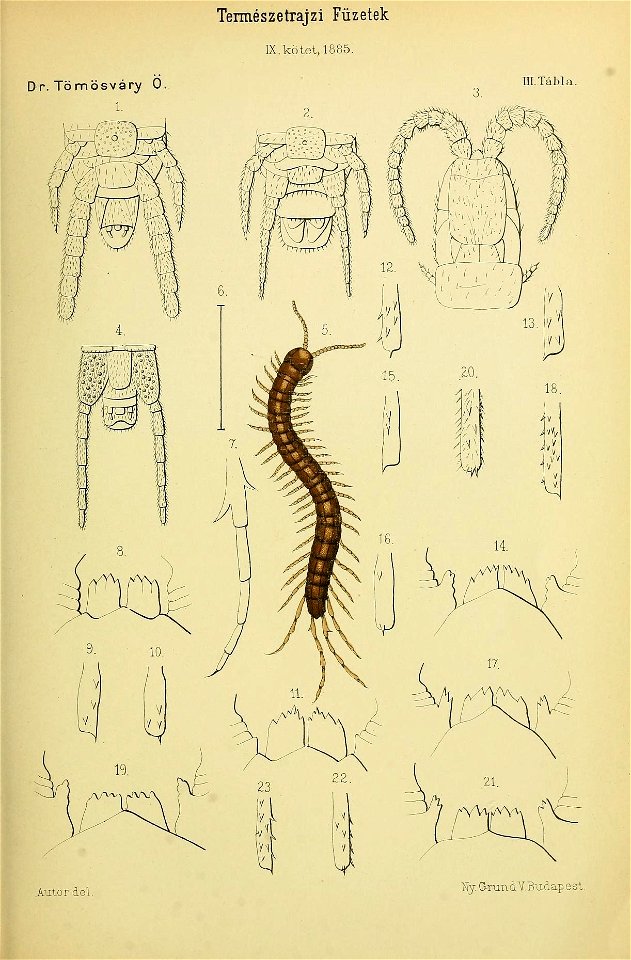 n454_w1150