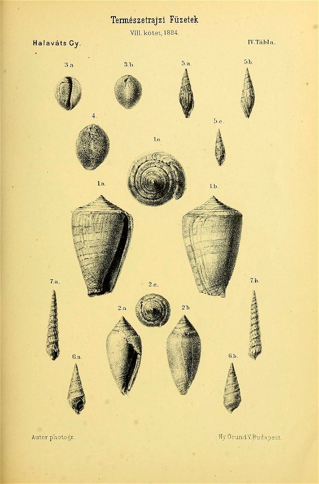 n262_w1150