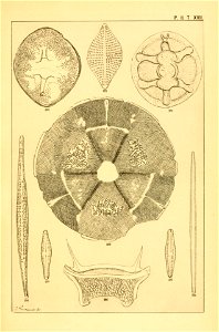 n196_w1150