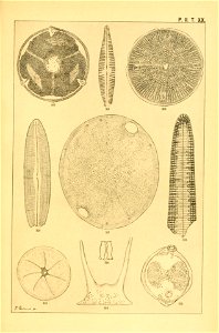 n208_w1150