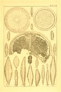 n172_w1150