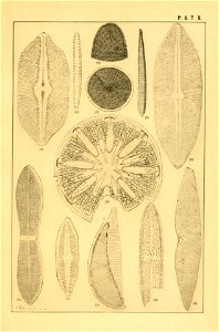 n168_w1150