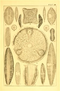 n160_w1150