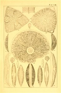 n156_w1150