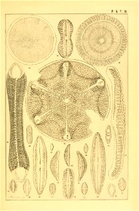 n144_w1150