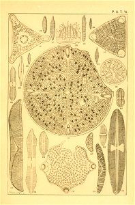 n152_w1150