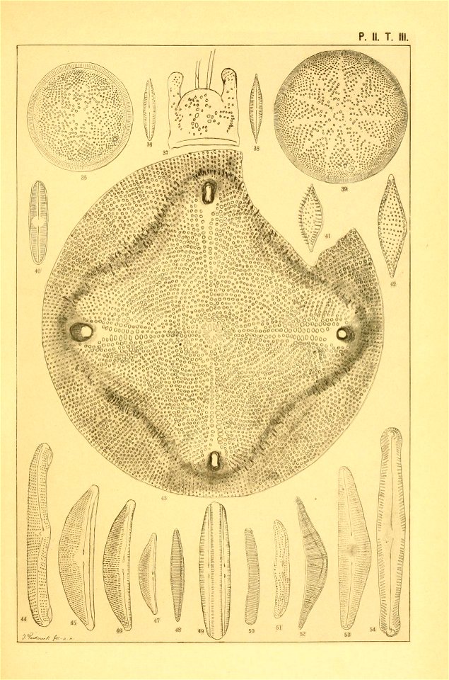n140_w1150