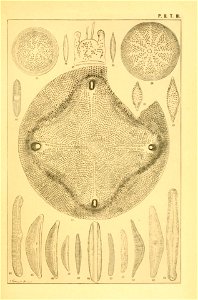 n140_w1150