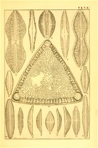 n136_w1150