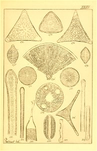 n192_w1150