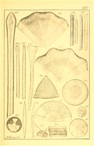 n184_w1150