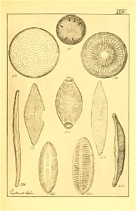 n176_w1150