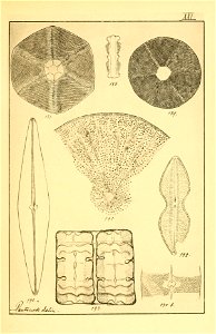 n164_w1150