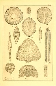 n152_w1150