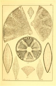 n128_w1150