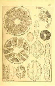 n112_w1150