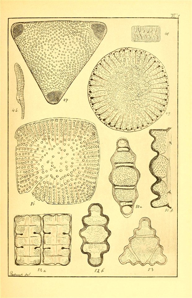 n104_w1150